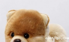 这类热卖玩具，会是下个爆品吗？